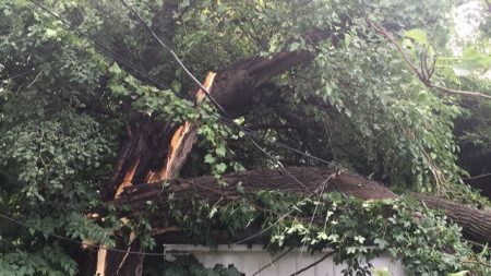 Storm downed trees, RVs damaged at campground