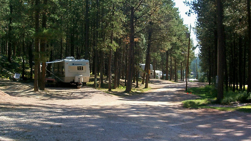 Washington National Forest Camp Hosts Needed