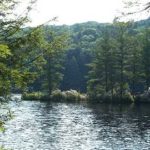 Connecticut State Parks Taking Steps to Cut Costs