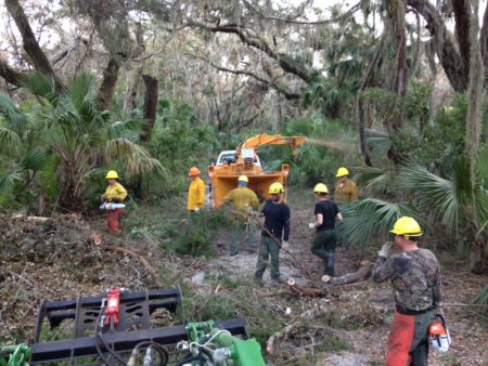 Florida National and State Parks A saw crew works to clear trees to reopen Cumberland Island National Seashore after Hurricane Irma