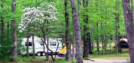 Great Smoky Mountains National Park Camping