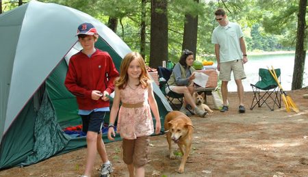 Campground at Schodack Island State Park