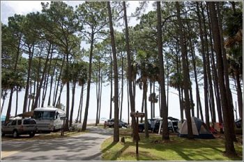 Campground at Hunting Island State Park Campground